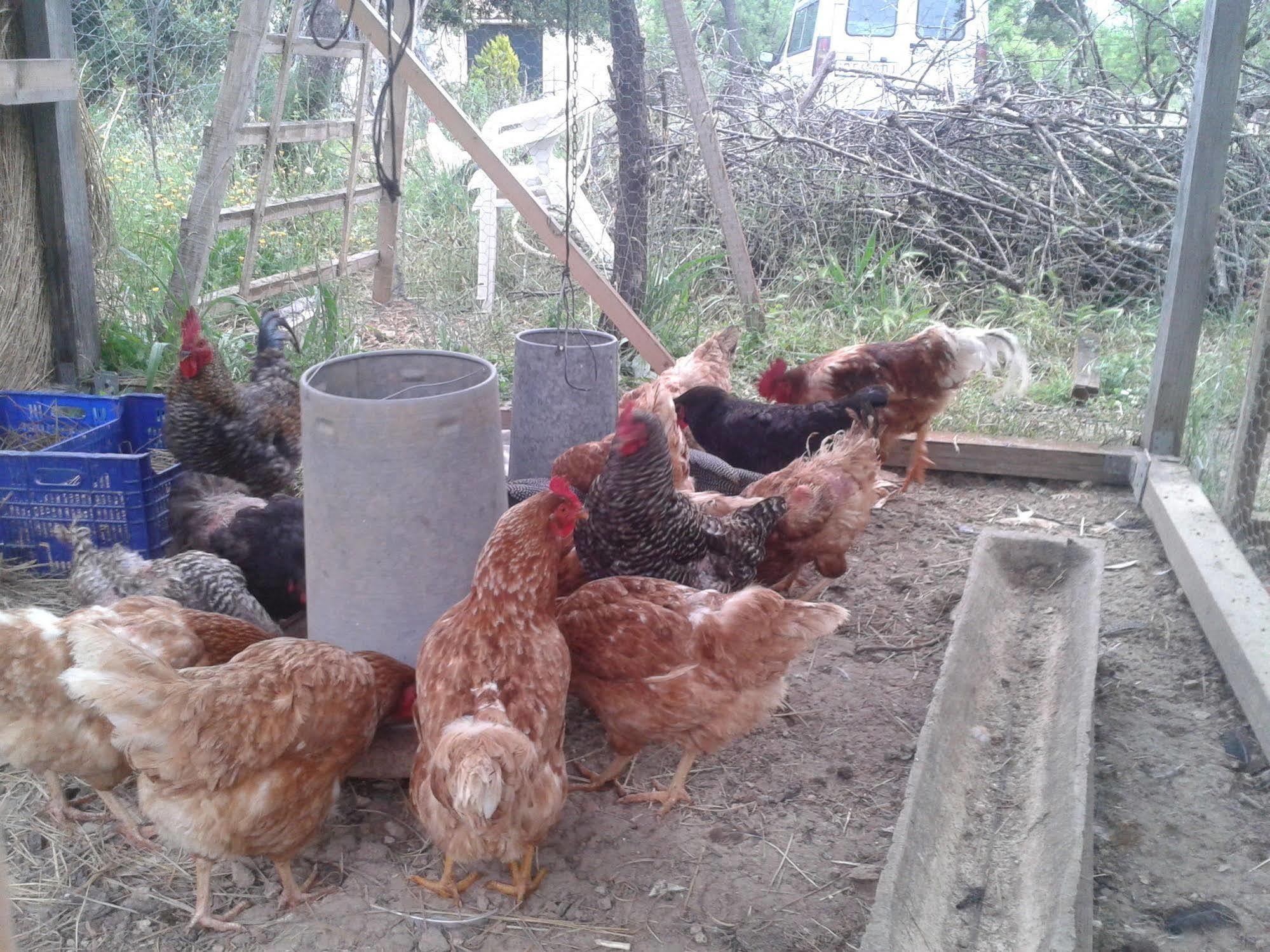 Sa Rota De Ca'N Casetes Konuk evi Caimari Dış mekan fotoğraf