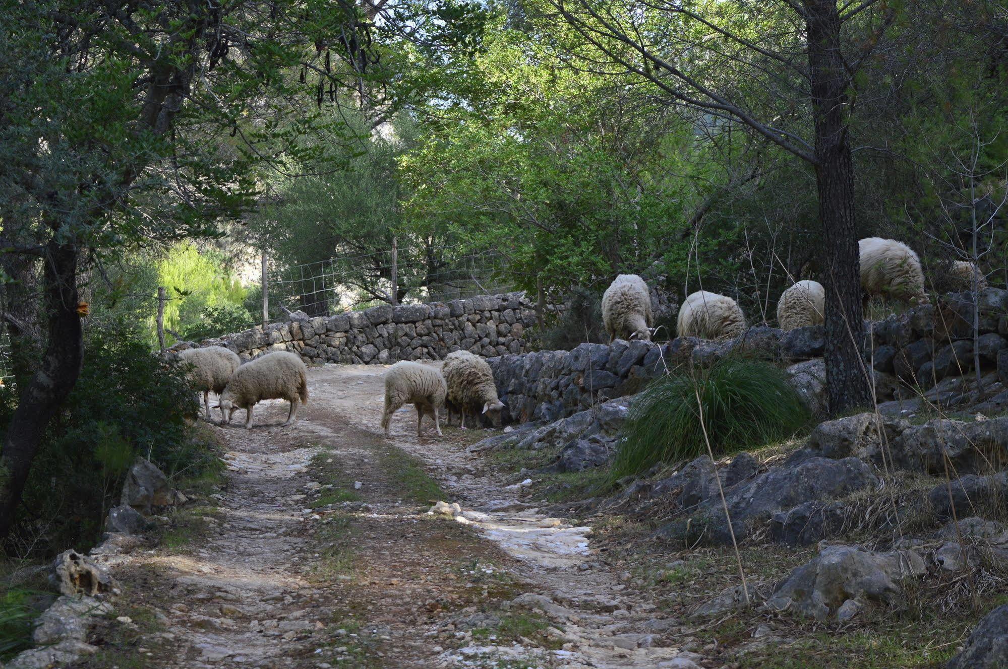 Sa Rota De Ca'N Casetes Konuk evi Caimari Dış mekan fotoğraf